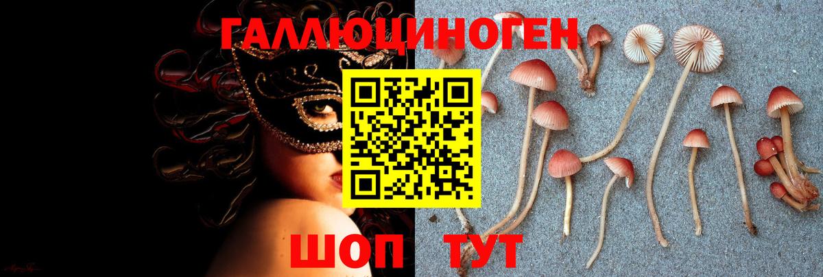 Галлюциногенные грибы Magic Shrooms Кострома